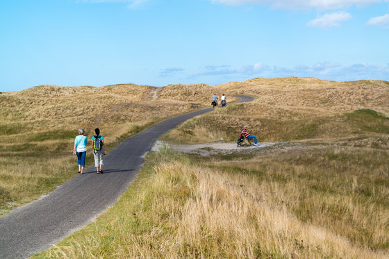 Terschelling, Ameland en Schiermonnikoog